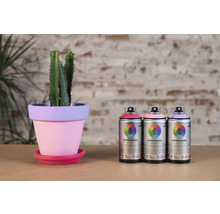 Decoratieve opstelling met cactus in beschilderde terracotta potten en verfspuitbussen