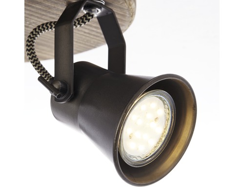 Plafondspot met ledlamp