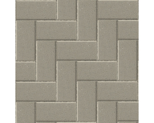 EXCLUTON Betonklinker grijs met deklaag, 21x10,5x8 cm-0