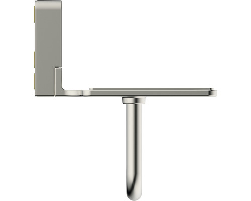 Roestvrijstalen toiletpapierhouder met bevestiging