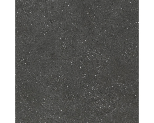 Wand- en Vloertegel Alpen graphite 60x60 cm gerectificeerd