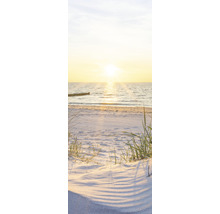Strand met gras en zee