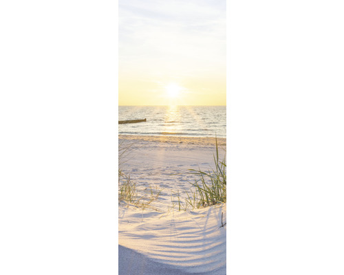 Strand met gras en zee