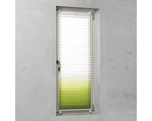 Raam met plisségordijn voor privacy en zonwering