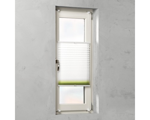 Raam met plisségordijn voor lichtregulering