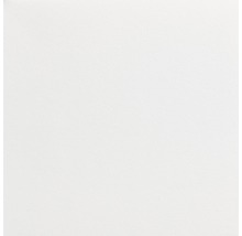 MODULAN Schildersvlies 130 gr/m² voorgeschilderd wit 1x50 m-thumb-0