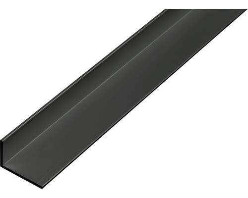 GAH.ALBERTS Hoekprofiel 20x10x1 mm aluminium mat zwart 100 cm
