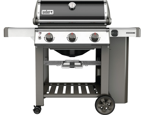 Weber gas store bbq sale