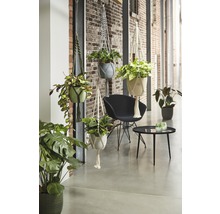 SOENDGEN Hanger macrame grijs