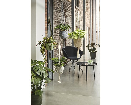 Decoratieve kamer met hangplanten in macramé plantenhangers, stoel en tafel.