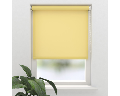 SOLUNA Rolgordijn lichtdoorlatend T4 uni geel 60x190 cm
