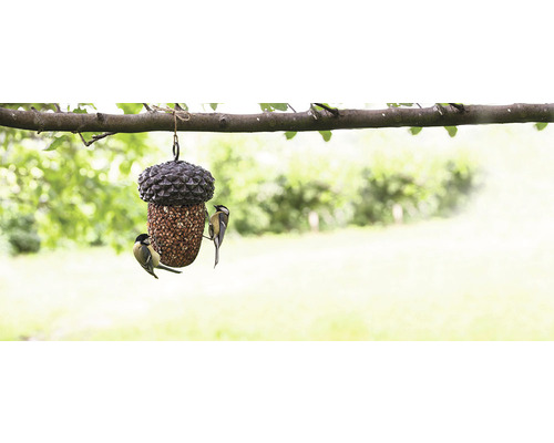 Vogelhuisje in eikelvorm met vogels hangend aan een boom