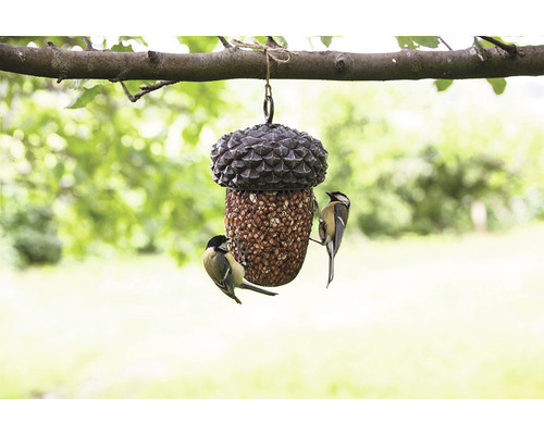 Pindakaaspot in eikelvorm hangt aan een boom met twee vogels