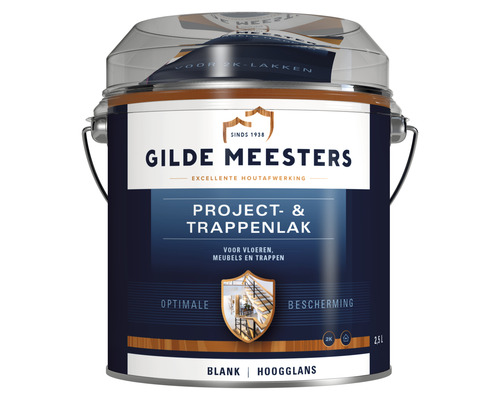 GILDE MEESTERS Project- & trappenlak blank zijdeglans 2,5 l