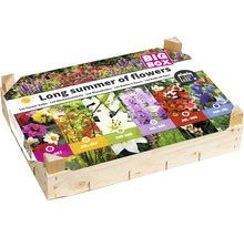 Bloembollen mengsel in een houten kist met informatie over de bloeitijd