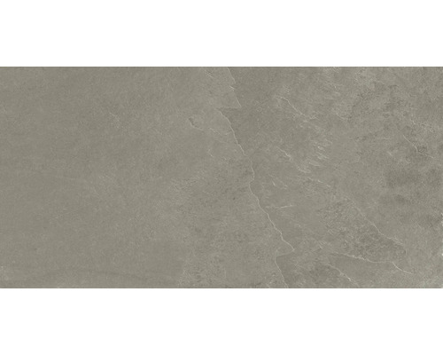 Wand- en vloertegel Feinstein taupe 29,6x59,5 cm gerectificeerd