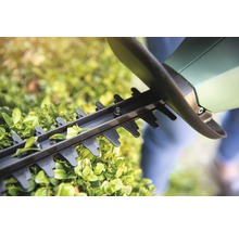 Close-up van een heggenschaar die een heg snoeit.