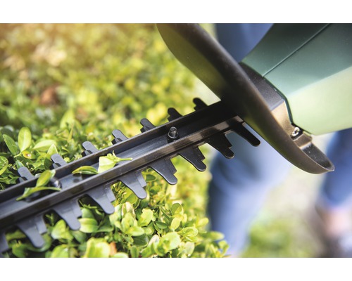 Close-up van een heggenschaar die een heg snoeit.