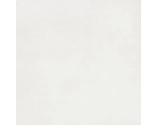 Wand- en vloertegel Bologna wit 80x80 cm gerectificeerd