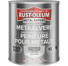 Rust-Oleum Metal Expert metaalverf, lichtgrijs, glans