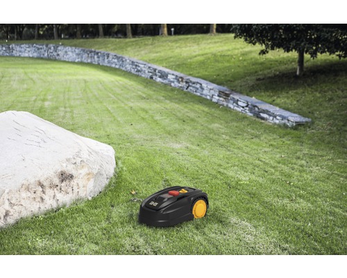 Robotmaaier op een gazon in de tuin