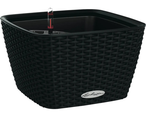 LECHUZA All-in-One Set Plantenbak Cottage Bacino Kunststof zwart Ø 30 cm H 18 cm Zwarte plantenbak met irrigatiesysteem en waterniveau-indicator