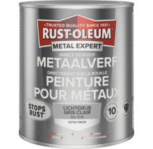 Rust-Oleum Metal Expert metaalverf, lichtgrijs, zijdeglans