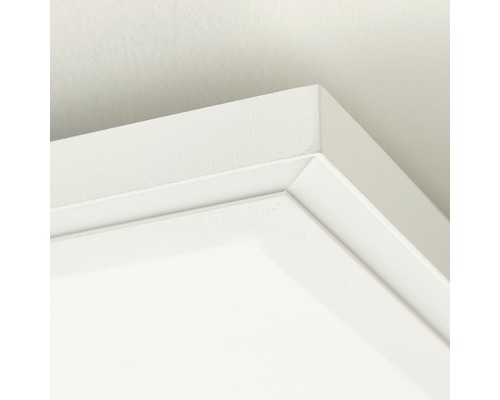 Detailopname van een witte plafondlijst die een frame vormt