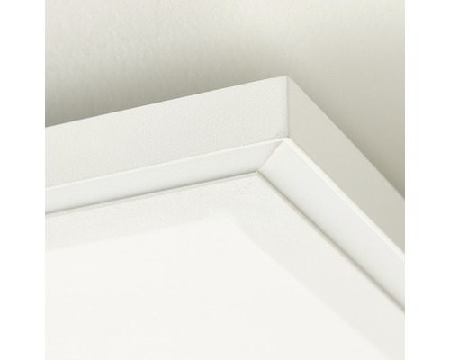 Detailopname van een wit plafond met sierlijst