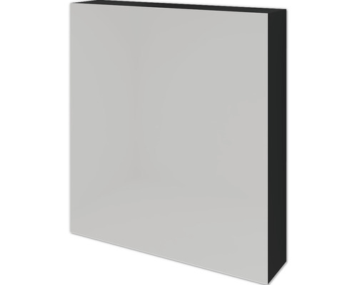 SANOX spiegelkast 1-deurs 60x13x65 cm zwart mat