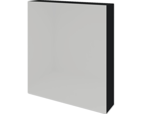 SANOX spiegelkast 1-deurs 60x12x65 cm zwart mat