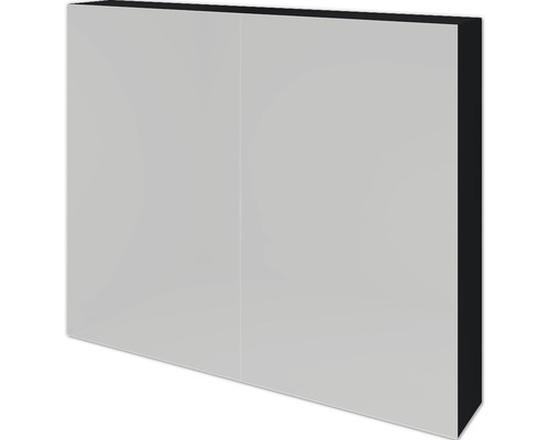 SANOX spiegelkast 2-deurs 80x13x65 cm zwart mat
