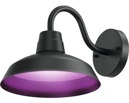 CALEX Smart Outdoor LED buitenlamp Classic RGB+CCT zwart