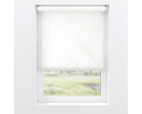 Raam met lichtdoorlatende rolgordijn