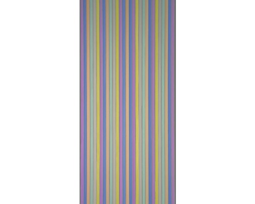CONACORD Deurgordijn pvc strepen Brillant meerkleurig 90x200 cm