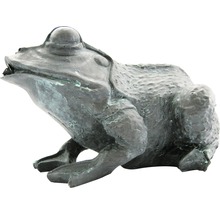 Tuinbeeld kikker