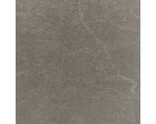 Wand- en vloertegel Calcatta grijs 90x90 cm gerectficeerd
