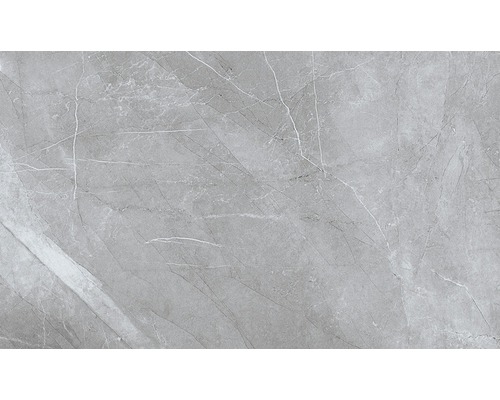 Wand- en vloertegel Pulpy grey 60x120 cm gerectficeerd