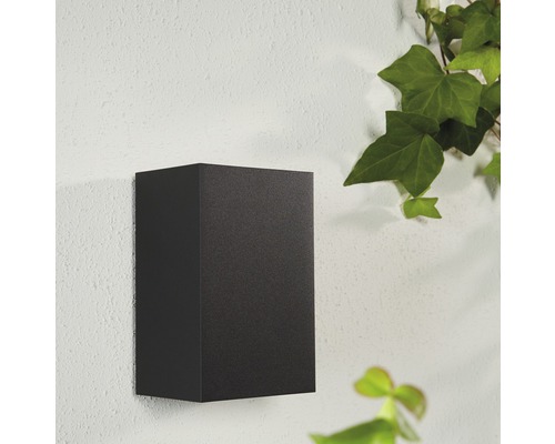 Kubusvormige wandlamp aan een gevel met klimop