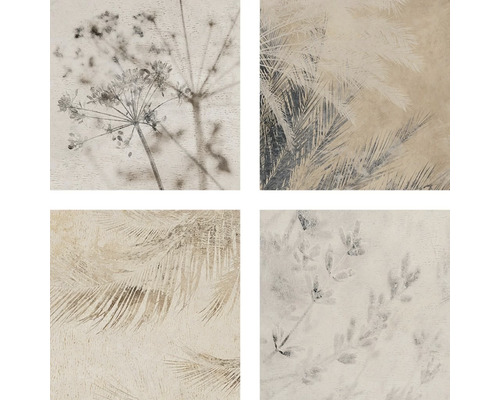 Wand- en vloertegel Herbal 16,5x16,5 cm grijs Tegels met bloemmotieven als decoratie