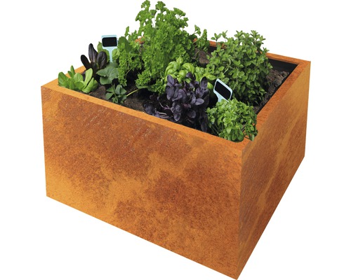 PALATINO Pot Clara Cortenstaal roest 80x80x50 cm PALATINO Pot Clara Cortenstaal roest 80x80x50 cm