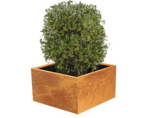 PALATINO Pot Clara Cortenstaal roest 100x100x50 cm PALATINO Pot Clara Cortenstaal roest 100x100x50 cm