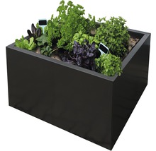 PALATINO Plantenbak Clara antraciet gecoat metaal 60x60x50 cm