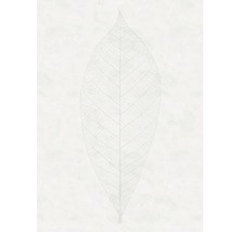 Illustratie van een blad skelet