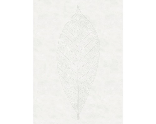 KOMAR Fotobehang vlies R2-012 RAW Decent Leaf 200x280 cm