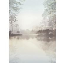 Behang met een mistig meer en bomen