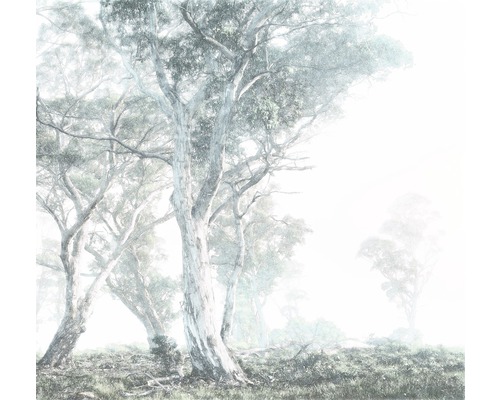 KOMAR Fotobehang vlies R3-023 RAW Magic Trees 300x280 cm
