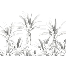 Illustratie van tropische planten als wanddecoratie