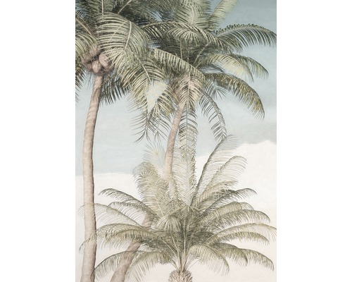KOMAR Fotobehang vlies R2-003 RAW Palm Oasis 200x280 cm