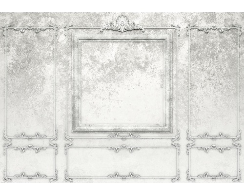 KOMAR Fotobehang vlies R4-044 RAW Patina Panels 400x280 cm